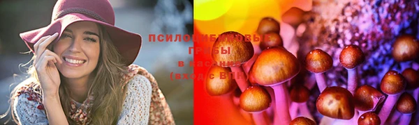 дмт Заволжье
