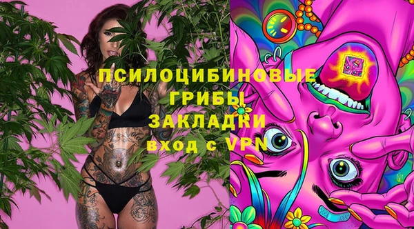 тгк Заводоуковск