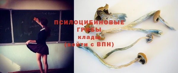 тгк Заводоуковск